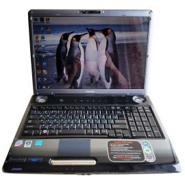  Ноутбук Toshiba Satellite P305 17&quot; 4GB RAM 160GB HDD, фото 1 